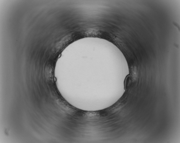 X0000103170619200809121902