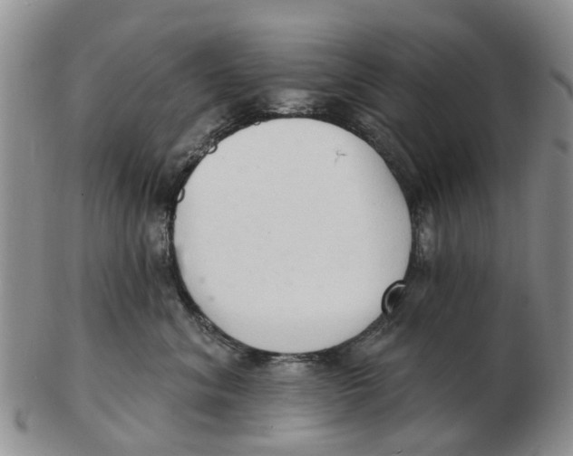 X0000103170620200809121902