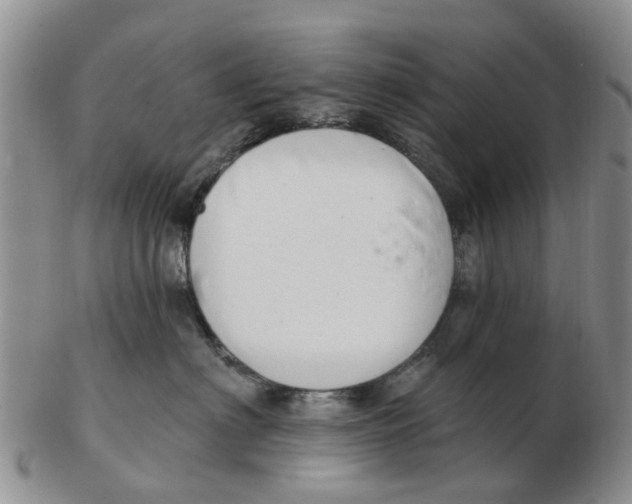 X0000103170622200809121902