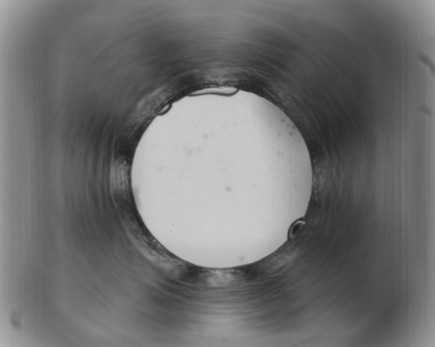 X0000103170623200809121902