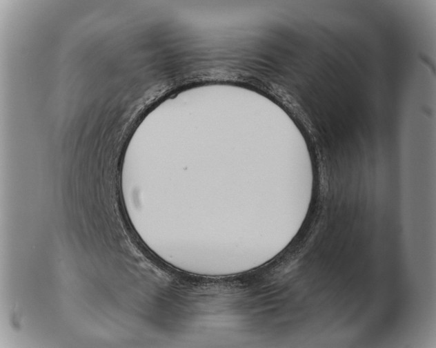 X0000103170625200809121901