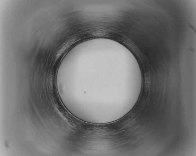 X0000103170626200809121901