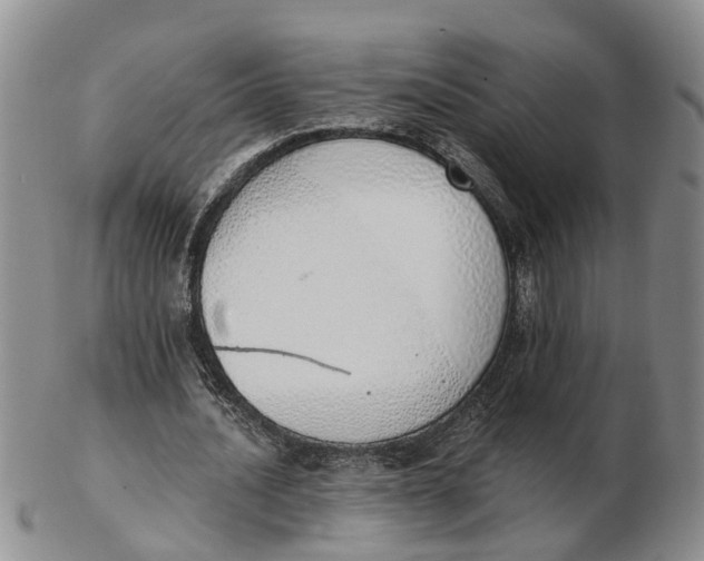 X0000103170628200809121901