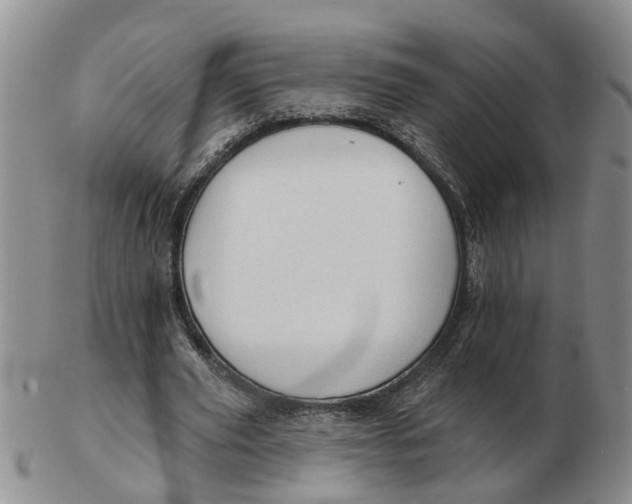 X0000103170629200809121901