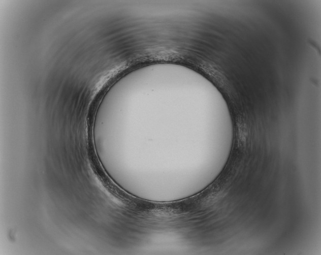 X0000103170630200809121901