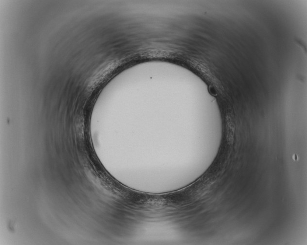 X0000103170631200809121901