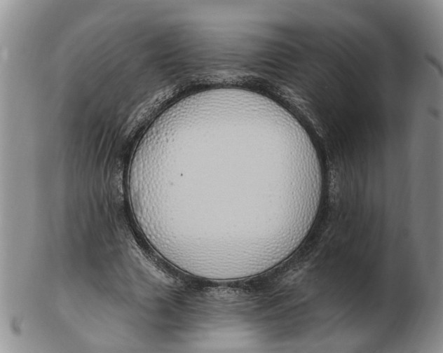 X0000103170633200809121901