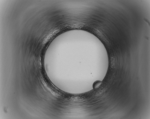 X0000103170634200809121901