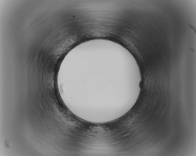 X0000103170635200809121901