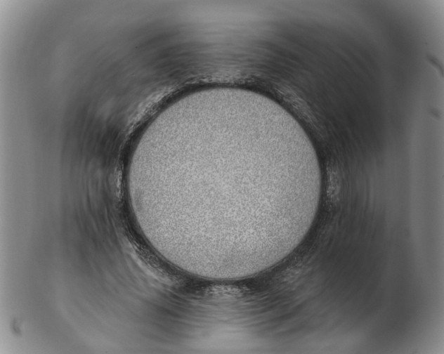 X0000103170636200809121901