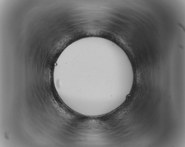 X0000103170637200809121901