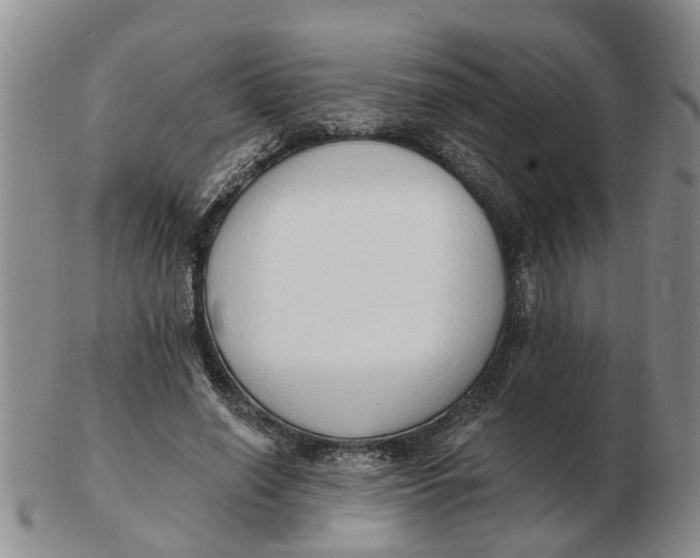 X0000103170638200809121901