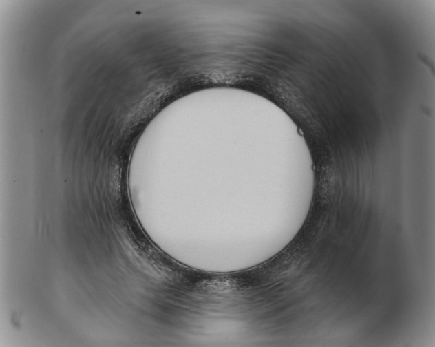 X0000103170639200809121901