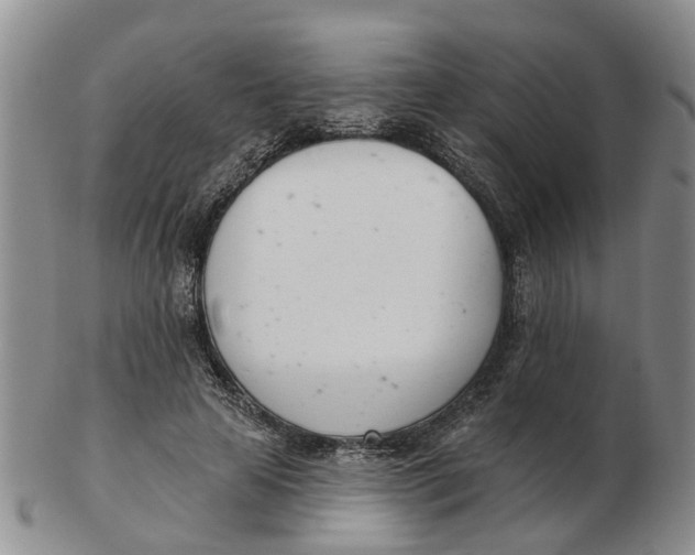 X0000103170641200809121901