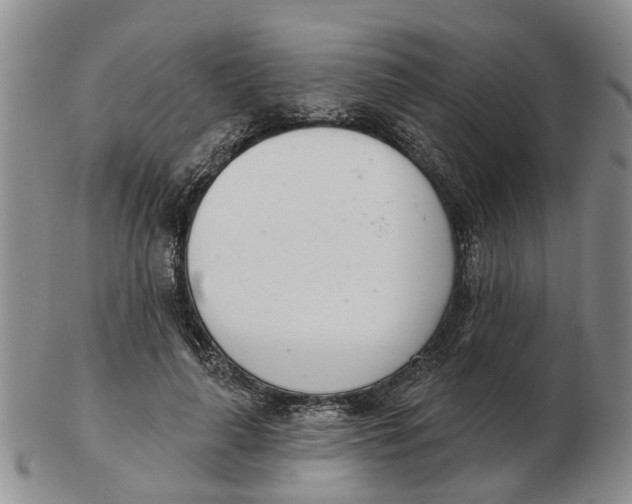 X0000103170643200809121902