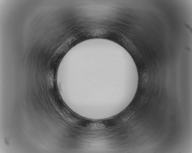 X0000103170644200809121902