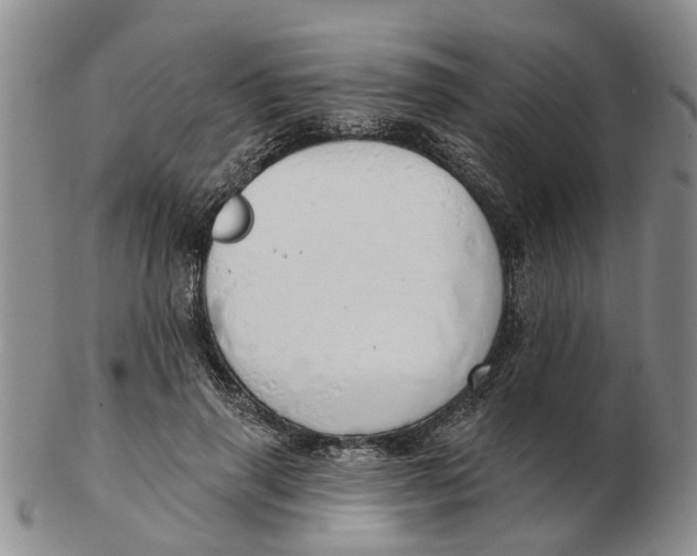 X0000103170645200809121902