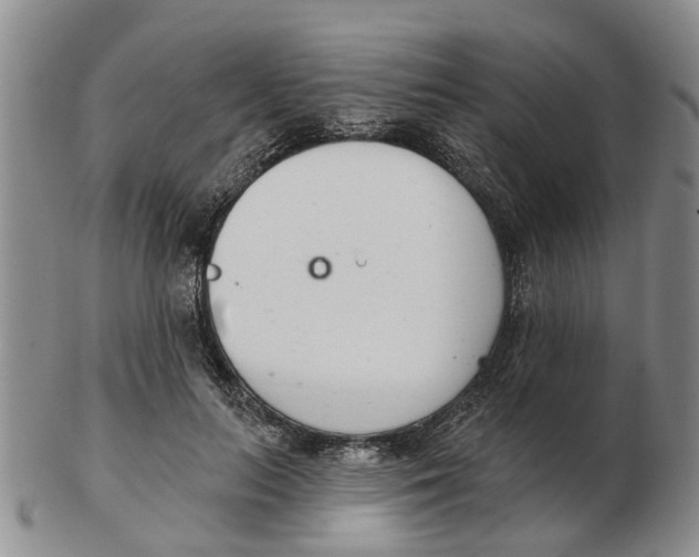 X0000103170647200809121902