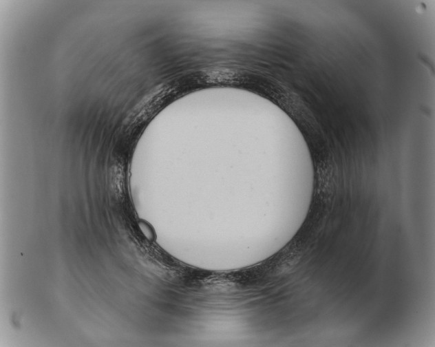 X0000103170648200809121902