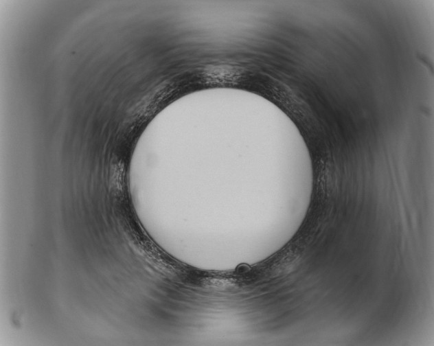 X0000103170649200809121902