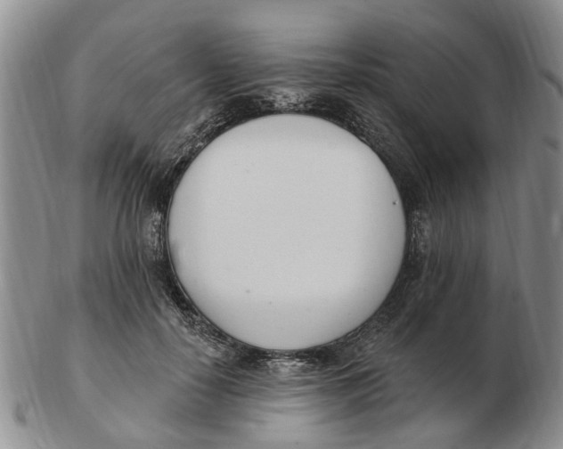 X0000103170650200809121902