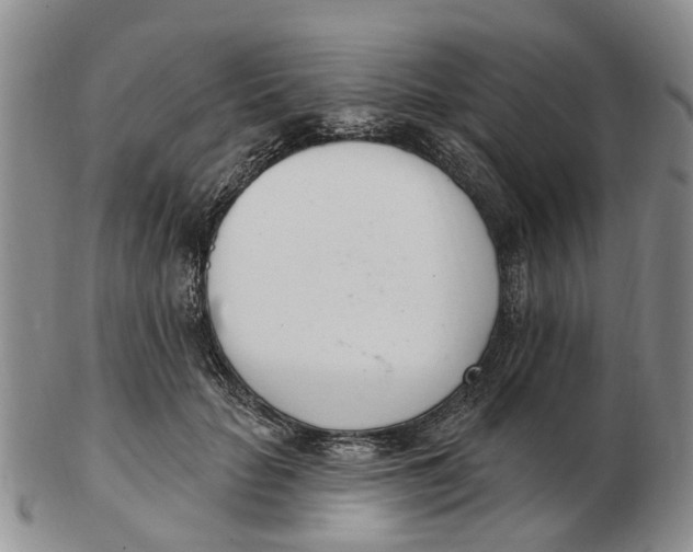 X0000103170653200809121902