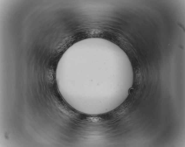 X0000103170654200809121902