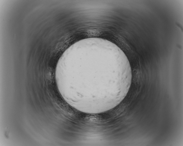 X0000103170655200809121902