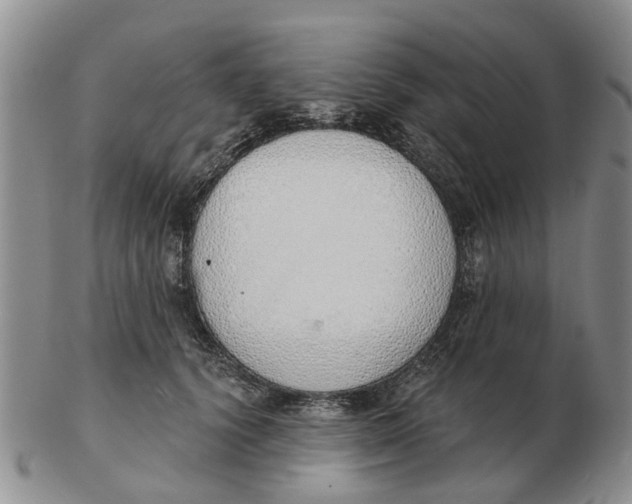 X0000103170656200809121902