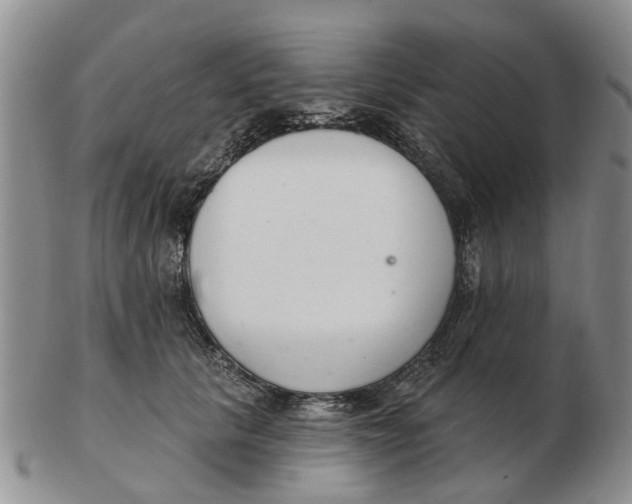 X0000103170657200809121902