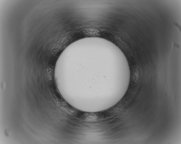 X0000103170658200809121902