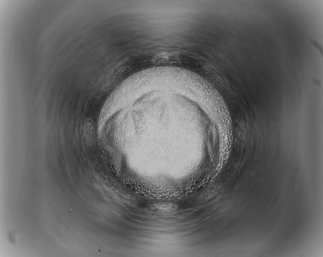 X0000103170659200809121902