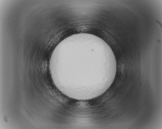 X0000103170660200809121902