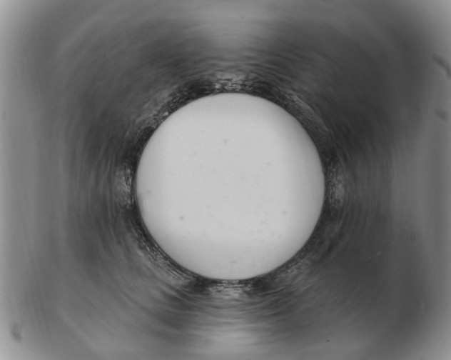 X0000103170661200809121902