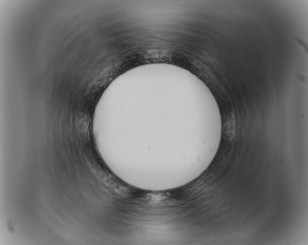 X0000103170662200809121902