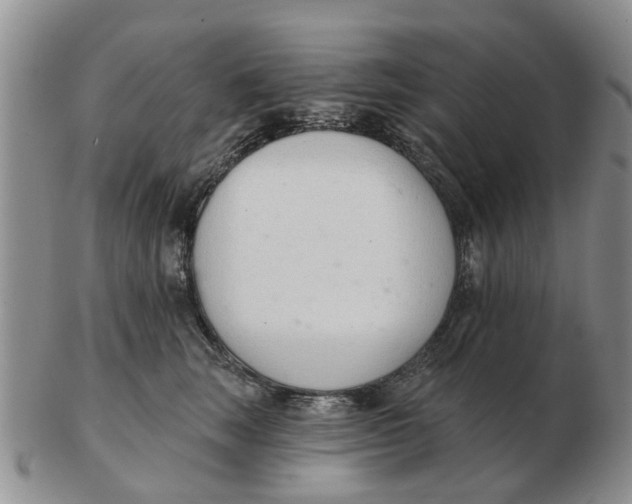 X0000103170663200809121902