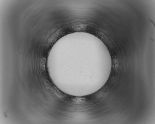 X0000103170664200809121902