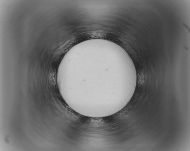 X0000103170666200809121902