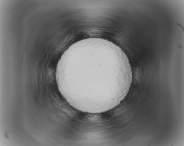 X0000103170667200809121902