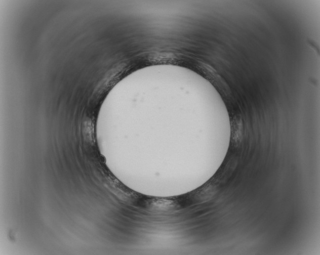 X0000103170669200809121902