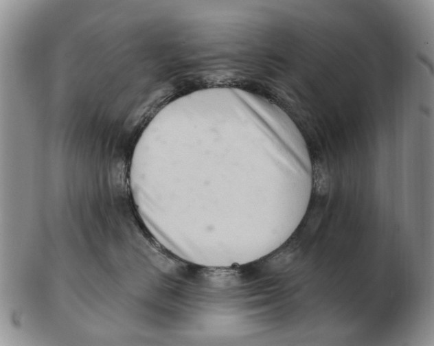 X0000103170670200809121902