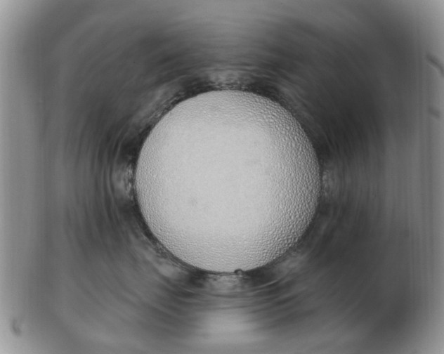 X0000103170671200809121902