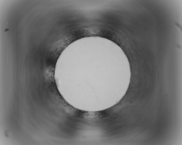 X0000103170672200809121902