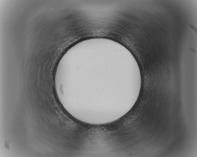 X0000103170673200809121901