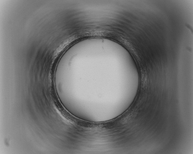 X0000103170674200809121901