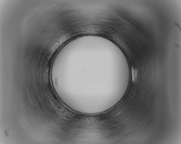 X0000103170675200809121901