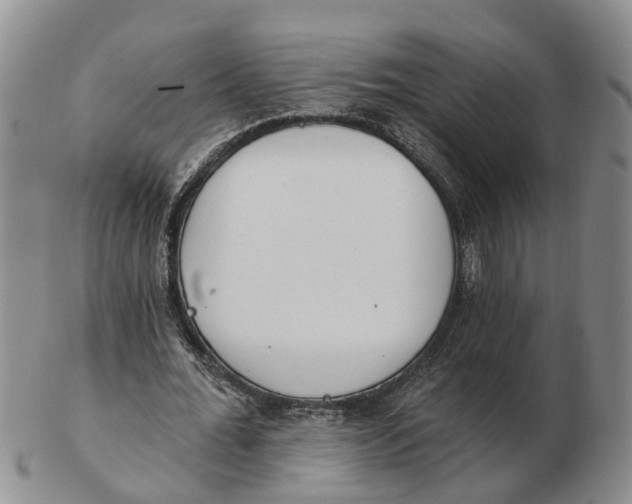 X0000103170676200809121901