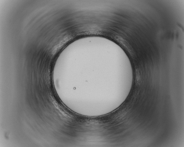 X0000103170677200809121901