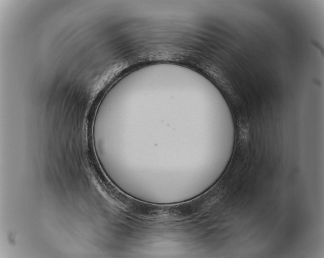 X0000103170678200809121901