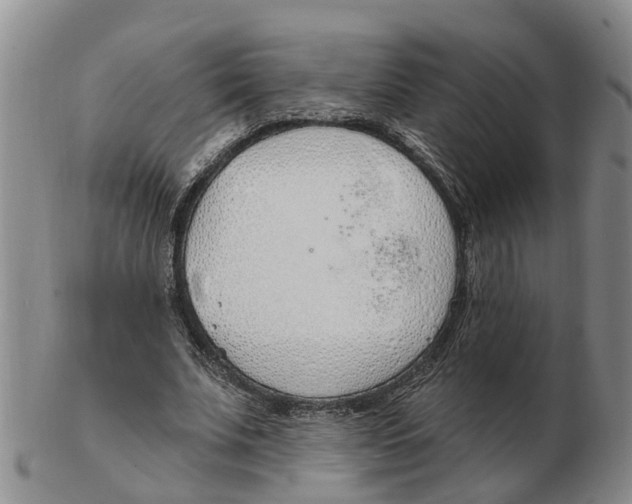 X0000103170679200809121901